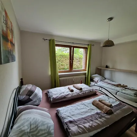 Ferienwohnung Seeblick Nr 1 ,Feldberg Baerental Rotwasser Exterior photo