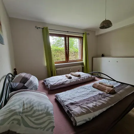Ferienwohnung Seeblick Nr 1 ,Feldberg Baerental Rotwasser Exterior photo