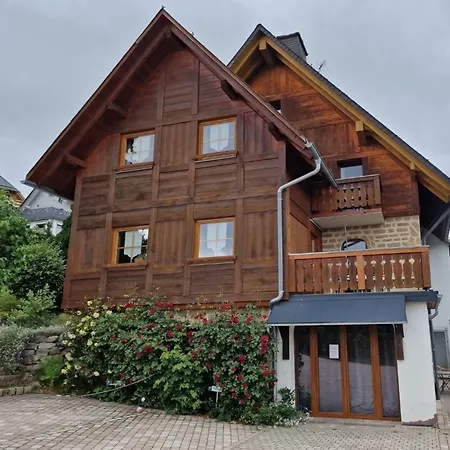 Ferienwohnung Seeblick Nr 1 ,Feldberg Baerental Rotwasser Exterior photo