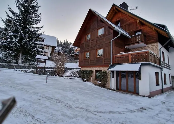 Ferienwohnung Seeblick Nr 1 ,Feldberg Baerental
