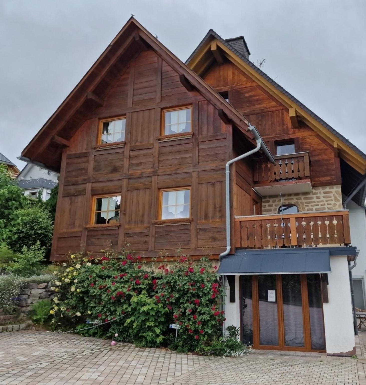 Seeblick Nr 1 ,feldberg Baerental Apartment Rotwasser